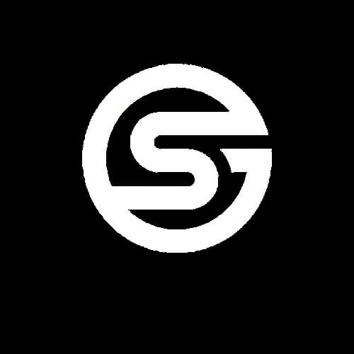 Sarin Analytics Logo